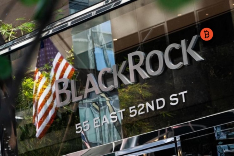 貝萊德為高凈值用戶舉辦比特幣活動！建議投資BTC占比28%